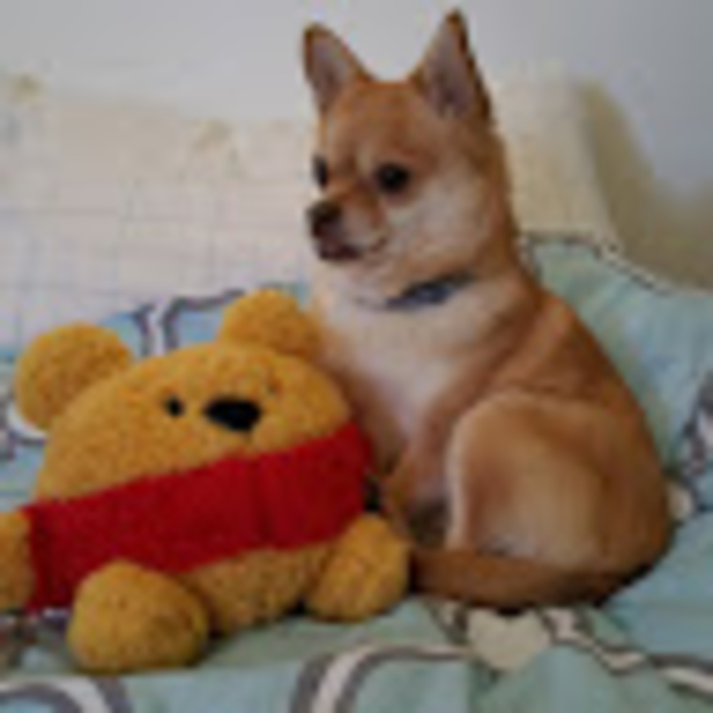 Meet your Posher, Martina